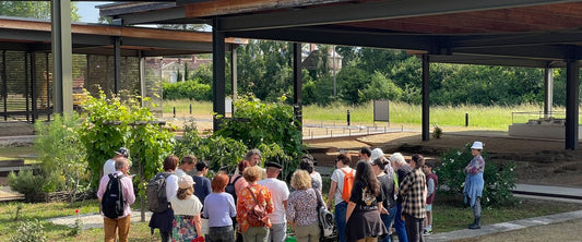 Less than 2 hours from Toulouse, this archaeological center invites you to “Rendez-vous aux Jardins” for an exceptional event