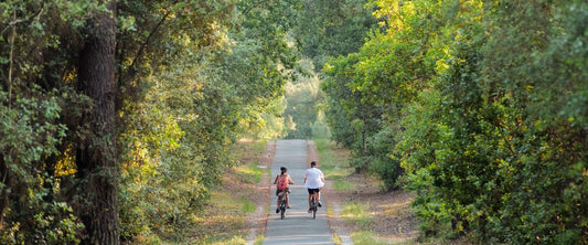 Between forests and ocean, this corner of nature is a paradise for outdoor sports less than 4 hours from Toulouse