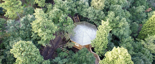 Sleeping in trees with view of the black mountain: the unusual experience of huts in the woods