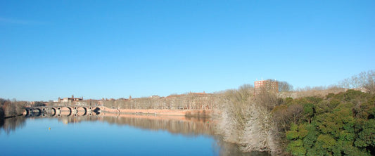 This wild island in the city center is the best spot for bird watching in Toulouse