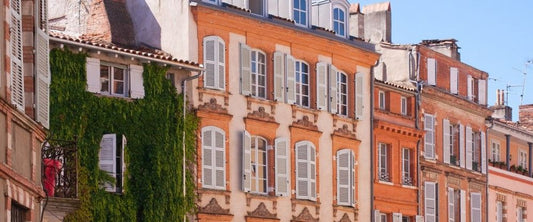 Take part in the Touloustope survey and win places for the Rose Festival and the Cité de l'Espace