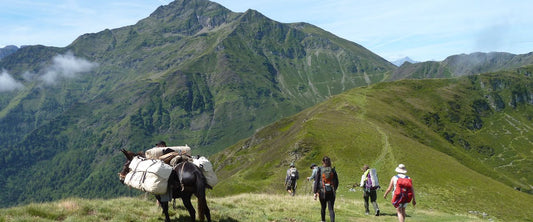 4 unique activities to do in the Tourmalet Pic du Midi: sleeping under an igloo, exceptional sunset, (re)discovering nature...