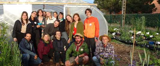 This participatory nursery puts nature and social ties at the heart of its associative project... And is organizing a plant sale this Saturday!